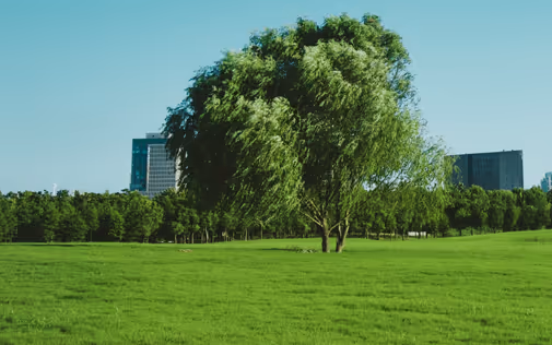 5 Simple Breaks to Boost Your Productivity and Mental Well-being