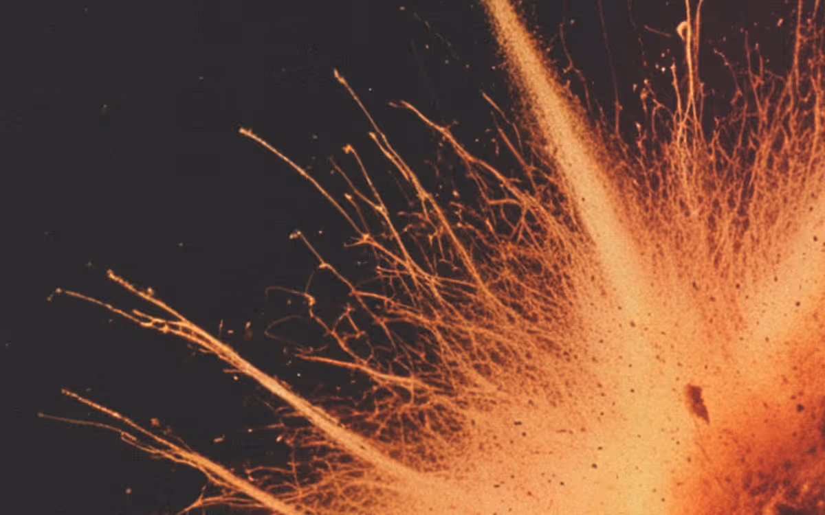 Streamline Your Team's Collaboration with Timestripe's Comments & Assignments