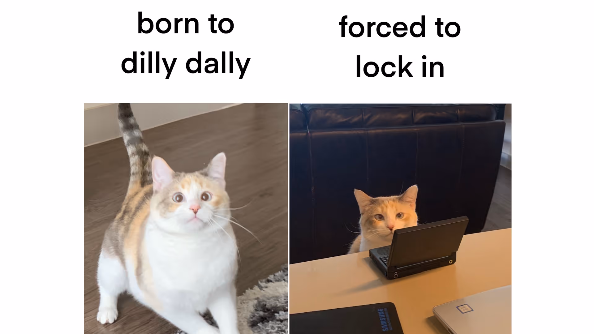 Lock in Meaning | Timestripe