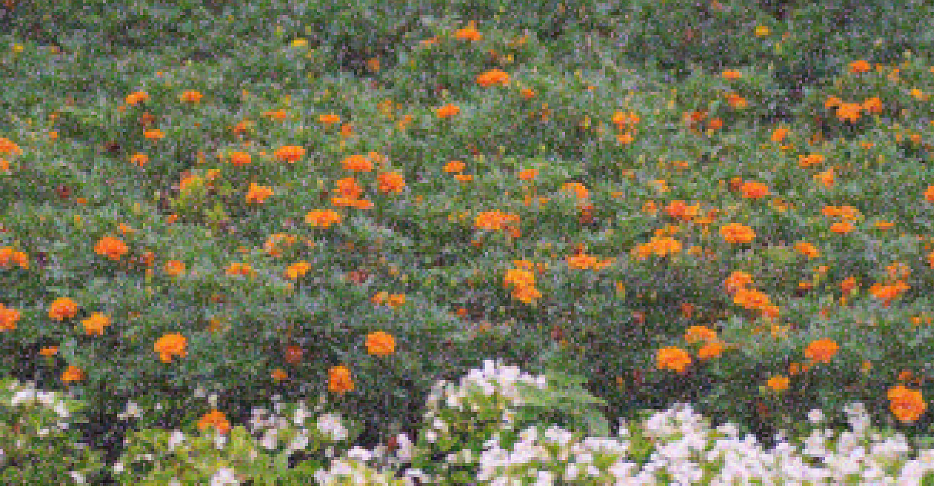 Grow Your Digital Mind Garden with 3 Tools for Learning
